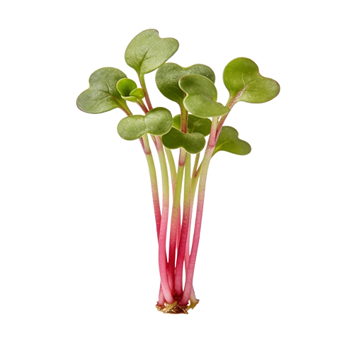 Microgreens