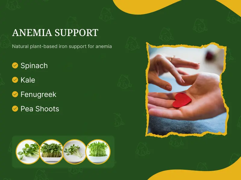 Improve Iron & Anemia Support