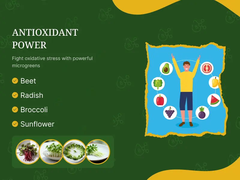 Powerful Antioxidant Support