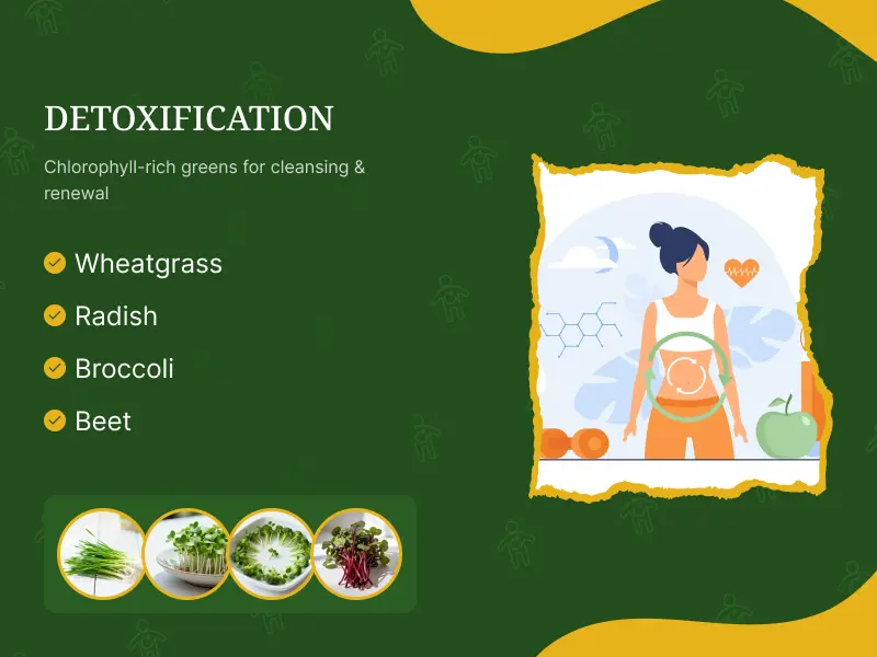Natural Body Detoxification