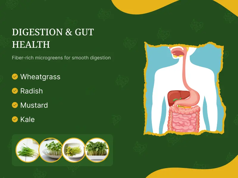 Improve Digestion & Gut Health
