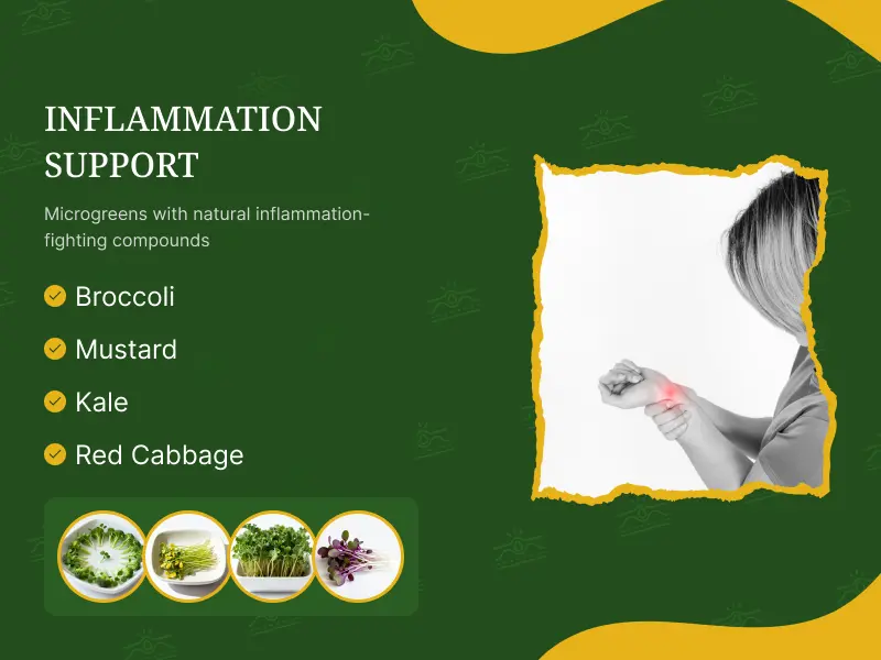 Reduce Body Inflammation