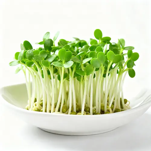 Mung Bean Microgreens