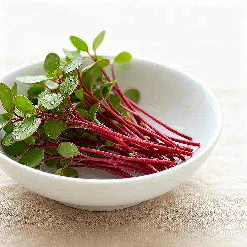 Red Amaranthus Microgreens